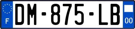 DM-875-LB