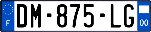 DM-875-LG