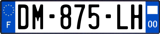 DM-875-LH
