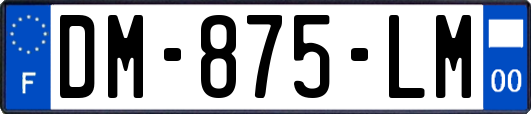 DM-875-LM