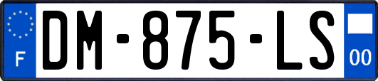 DM-875-LS