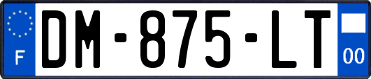 DM-875-LT