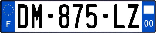 DM-875-LZ