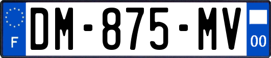 DM-875-MV