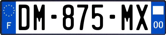 DM-875-MX