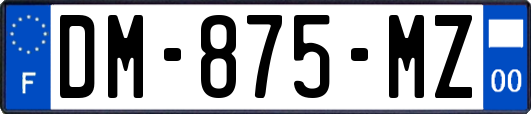 DM-875-MZ