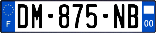 DM-875-NB