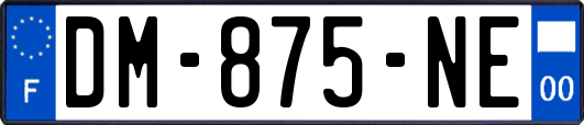 DM-875-NE