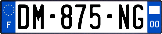 DM-875-NG
