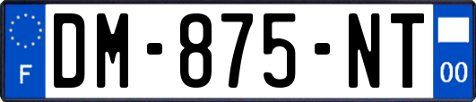 DM-875-NT