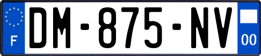 DM-875-NV