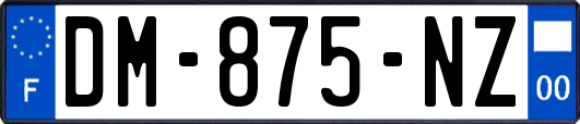 DM-875-NZ