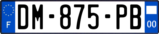 DM-875-PB