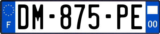 DM-875-PE