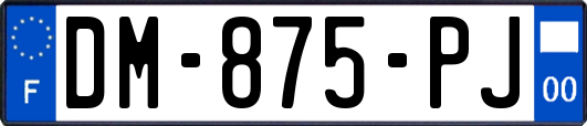 DM-875-PJ