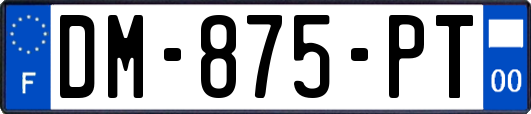 DM-875-PT