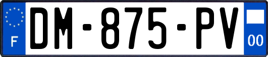 DM-875-PV