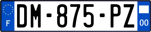 DM-875-PZ