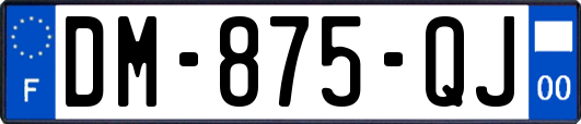 DM-875-QJ