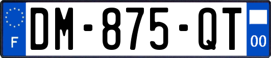 DM-875-QT