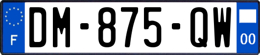 DM-875-QW