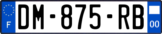 DM-875-RB