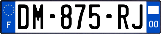 DM-875-RJ