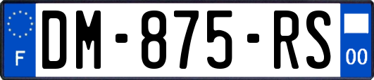DM-875-RS