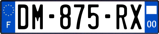 DM-875-RX