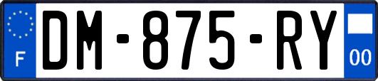 DM-875-RY