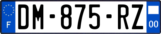 DM-875-RZ