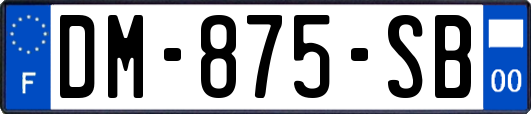 DM-875-SB