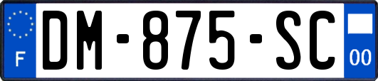 DM-875-SC