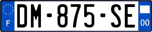 DM-875-SE