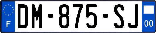 DM-875-SJ