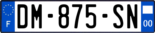 DM-875-SN