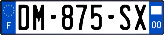 DM-875-SX