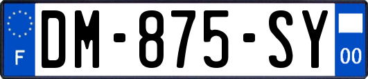 DM-875-SY