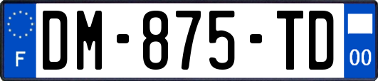 DM-875-TD