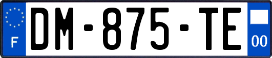 DM-875-TE