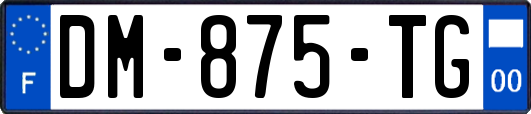 DM-875-TG