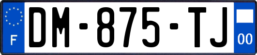 DM-875-TJ