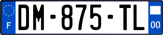 DM-875-TL