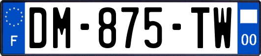DM-875-TW