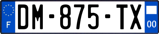 DM-875-TX