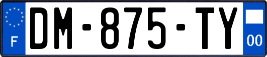 DM-875-TY