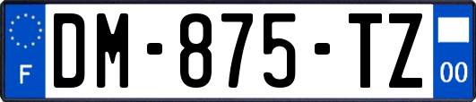 DM-875-TZ