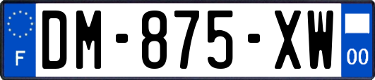 DM-875-XW