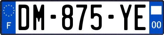 DM-875-YE