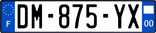 DM-875-YX